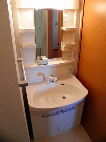 シャンプードレッサー