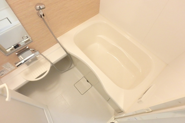 バス