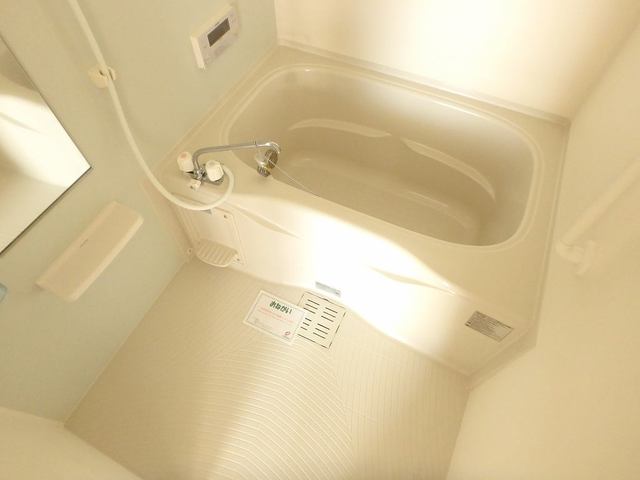 バス