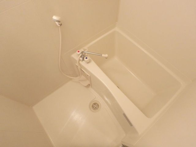 バス