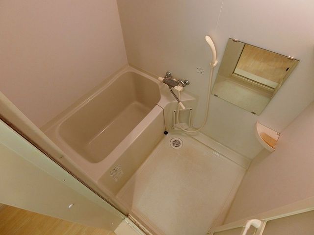 バス
