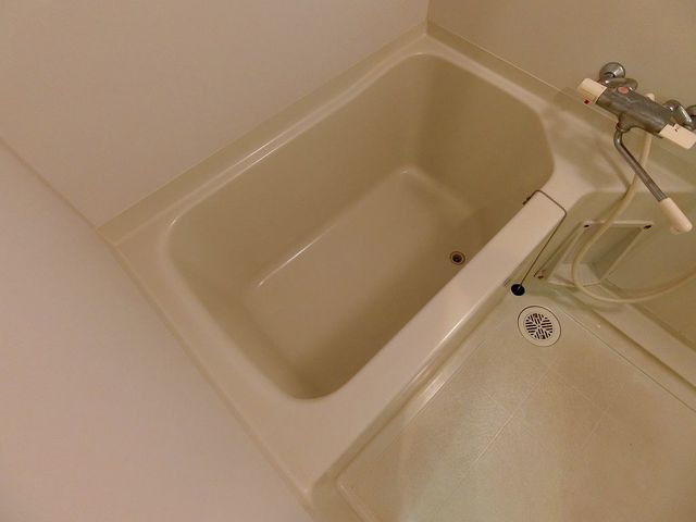バス