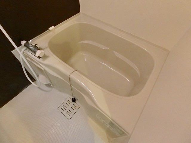 バス