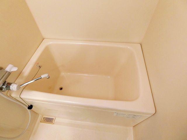 バス