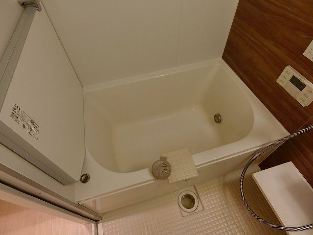 バス
