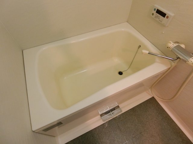 バス
