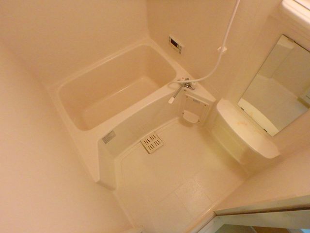 バス