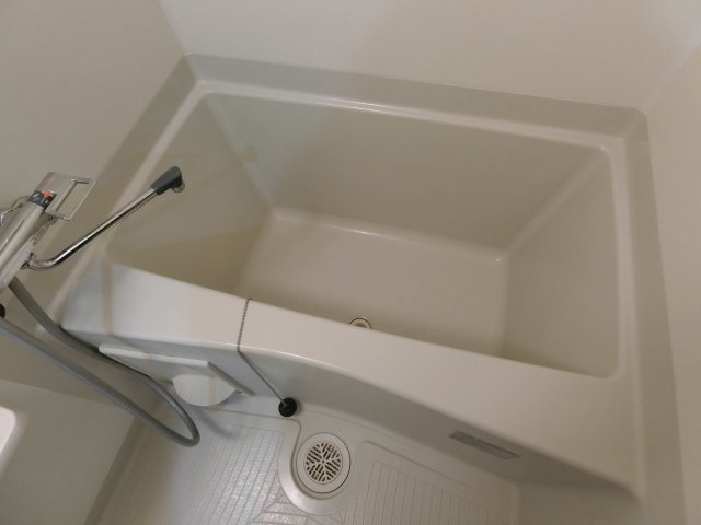 バス