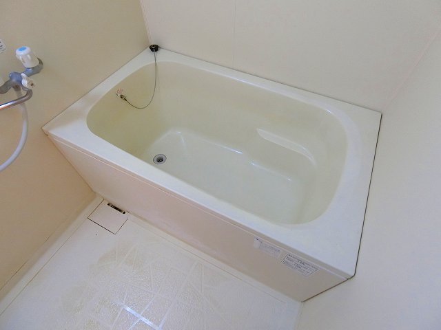 バス