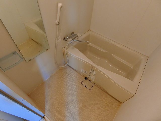 バス