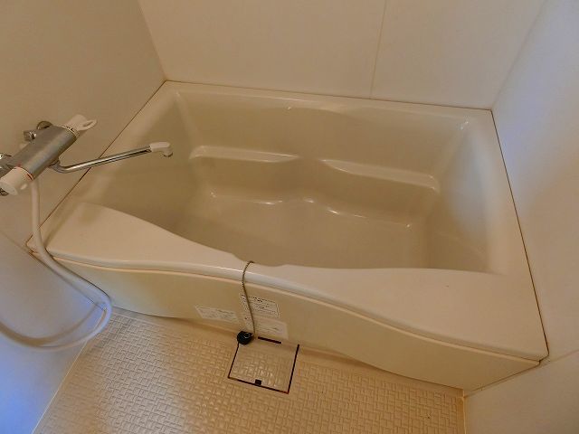 バス