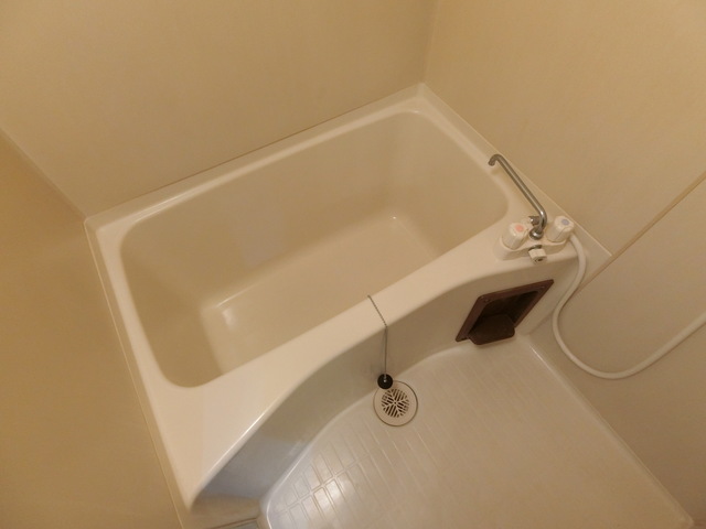 バス