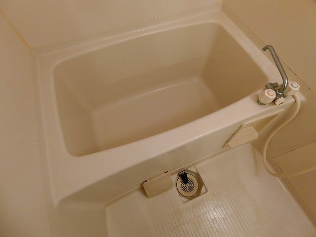 バス
