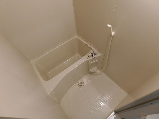 バス