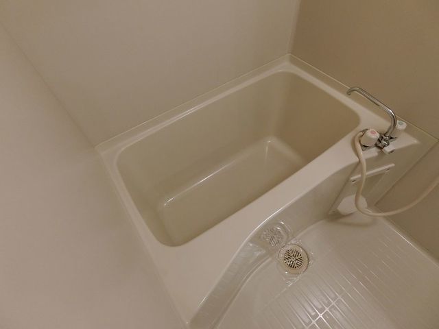 バス