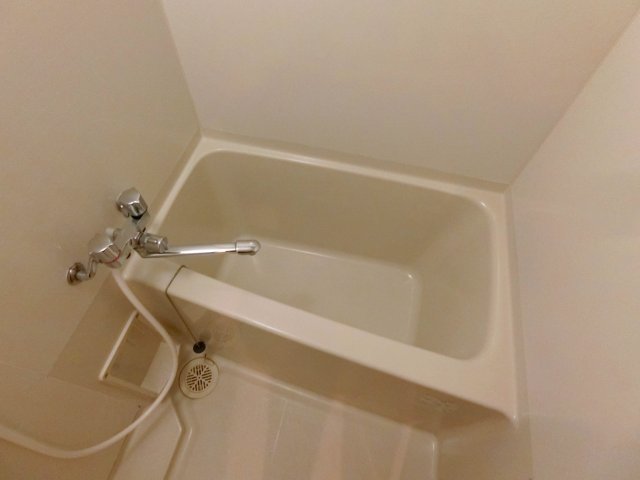 バス