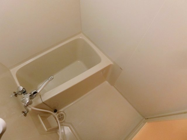 バス