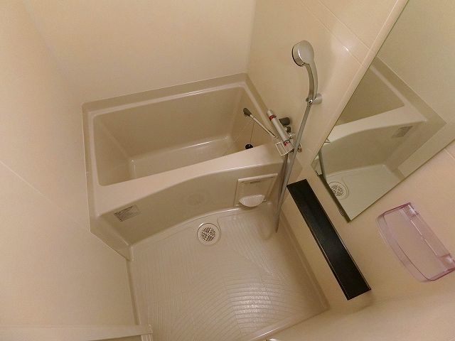 バス