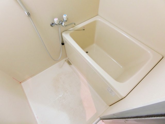 バス