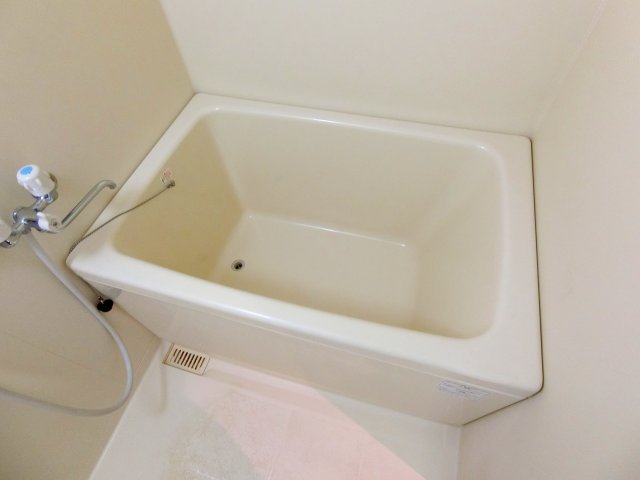 バス