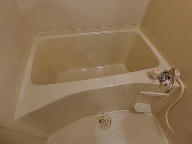 バス