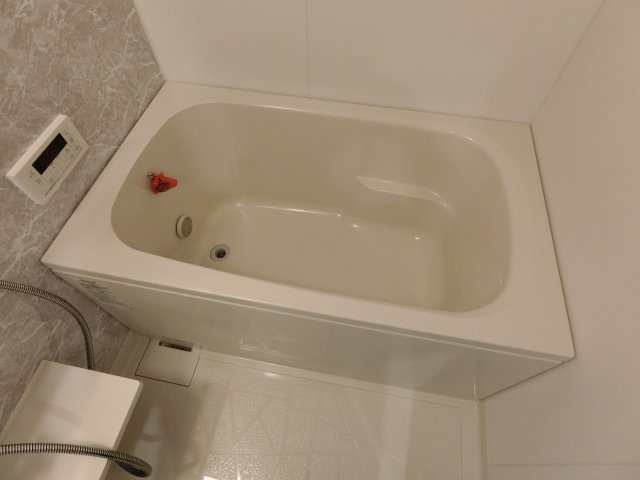 バス
