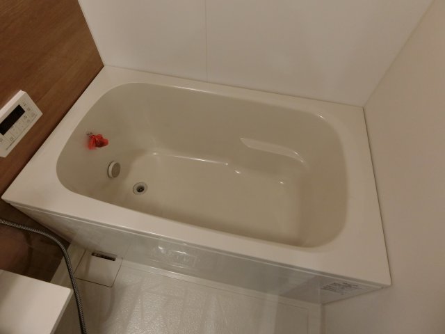 バス
