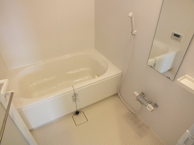 バス