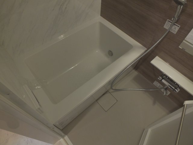 バス