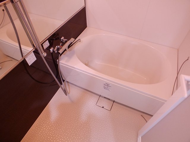 バス