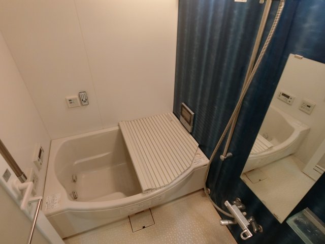 バス