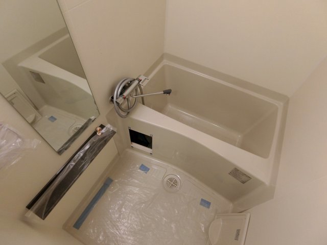 バス