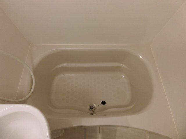 バス