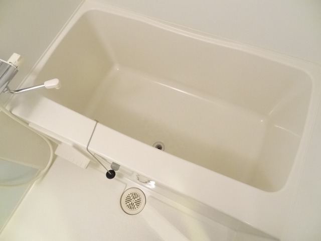 バス