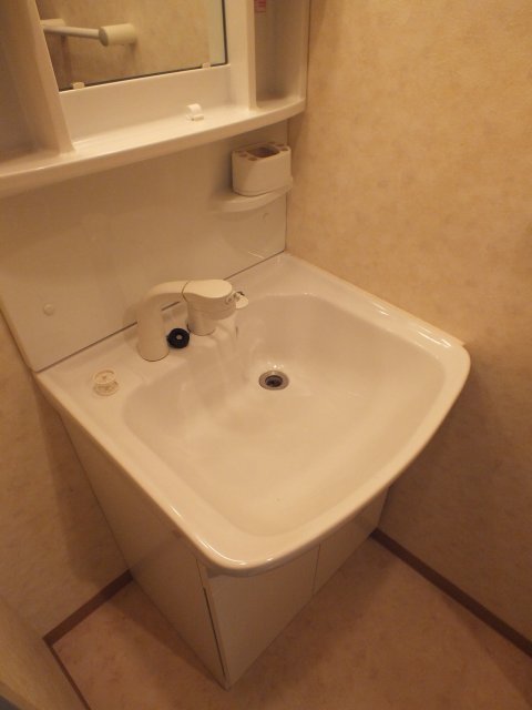 シャンプードレッサー