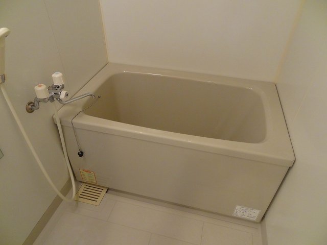 バス