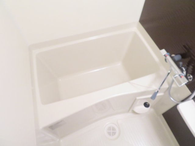 バス