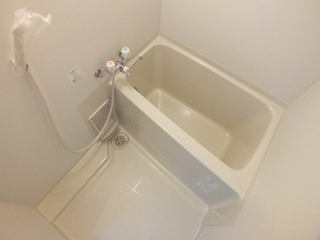 バス
