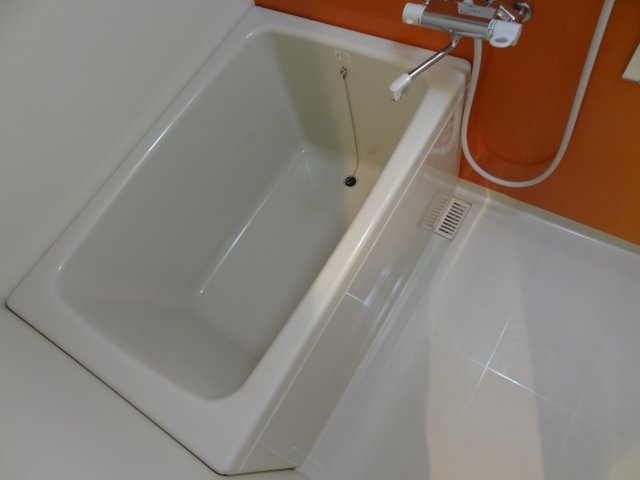 バス