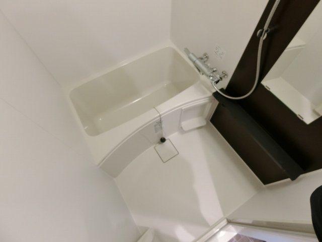 バス