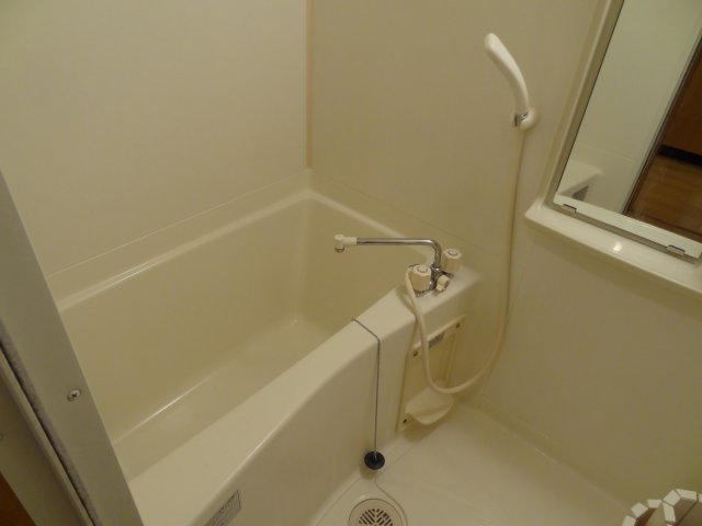 バス