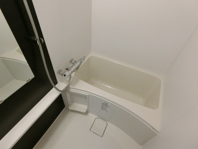 バス