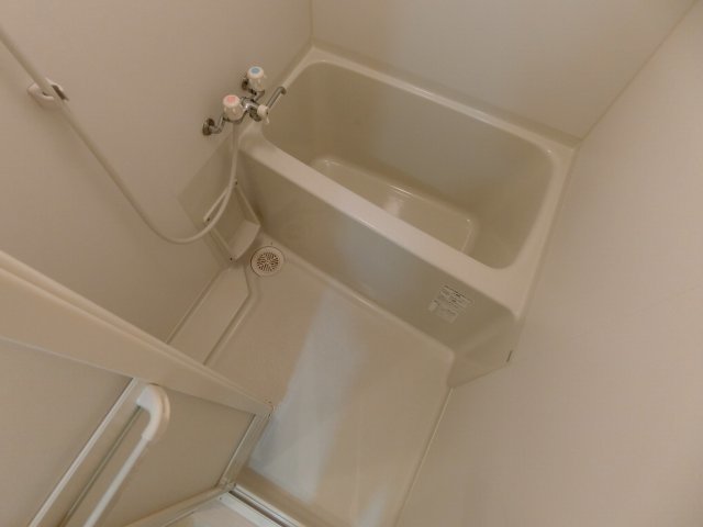 バス