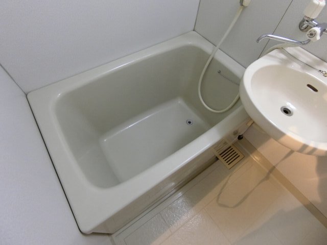 バス