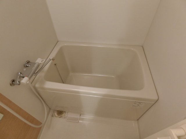 バス