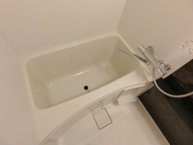 バス