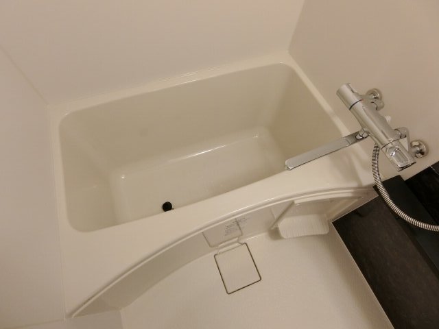 バス