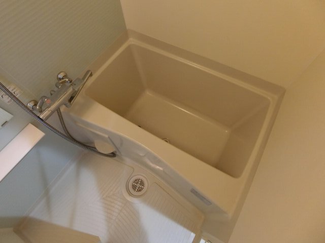 バス