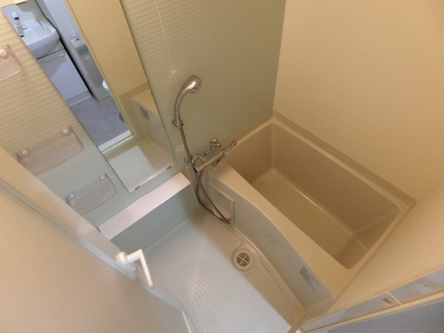 全体写真