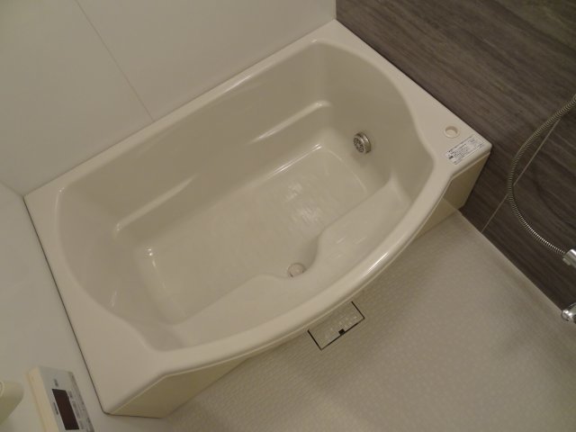 バス